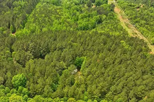 3009 Pleasant Hill Church Rd, Siler City, NC 27344 - Photo 83