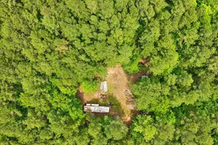 3009 Pleasant Hill Church Rd, Siler City, NC 27344 - Photo 81