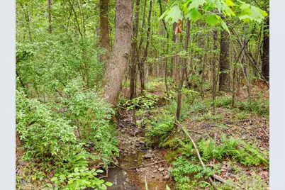 3009 Pleasant Hill Church Road, Siler City, NC 27344 - Photo 87