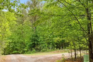 3009 Pleasant Hill Church Rd, Siler City, NC 27344 - Photo 89