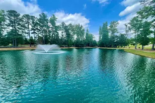 2807 Lunar Light Dr, Wendell, NC 27591 - Photo 19