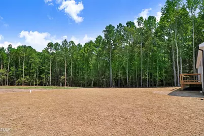 37 Birchtop Circle, Zebulon, NC 27597 - Photo 29