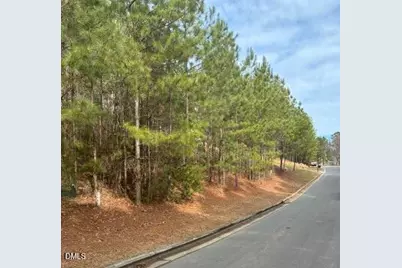 36 Mist Wood Court, Pittsboro, NC 27312 - Photo 3