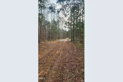 000 Northpointe Farms Trail, Efland, NC 27243 - Photo 11