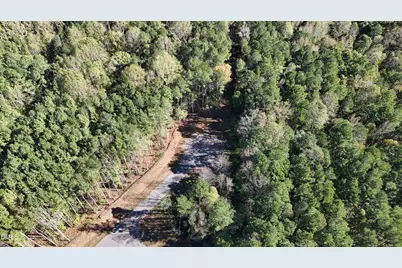 503 Gaines Trail, Pittsboro, NC 27312 - Photo 7