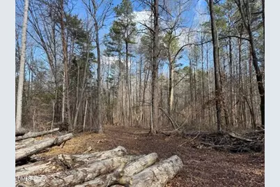 Lot 1 Olivia Pope Way, Efland, NC 27243 - Photo 21