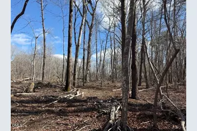 Lot 1 Olivia Pope Way, Efland, NC 27243 - Photo 3