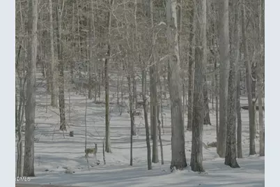 Lot 1 Olivia Pope Way, Efland, NC 27243 - Photo 25