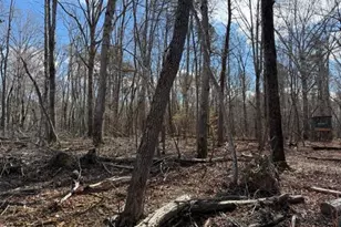 Lot 1 Olivia Pope Way, Efland, NC 27243 - Photo 29