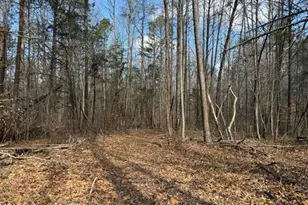 Lot 1 Olivia Pope Way, Efland, NC 27243 - Photo 47