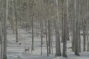 Lot 1 Olivia Pope Way, Efland, NC 27243 - Photo 49