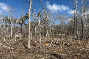 Lot 1 Olivia Pope Way, Efland, NC 27243 - Photo 31