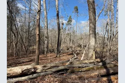 Lot 1 Olivia Pope Way, Efland, NC 27243 - Photo 27