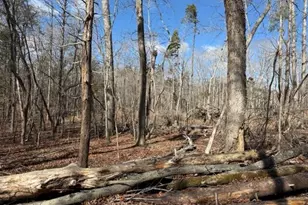 Lot 1 Olivia Pope Way, Efland, NC 27243 - Photo 27