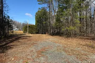 Lot 1 Olivia Pope Way, Efland, NC 27243 - Photo 43