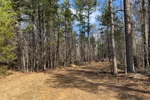 Lot 1 Olivia Pope Way, Efland, NC 27243 - Photo 45