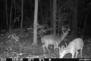 Lot 1 Olivia Pope Way, Efland, NC 27243 - Photo 51