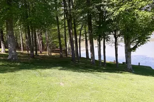 324 Holly Berry Ln, Roxboro, NC 27574 - Photo 23