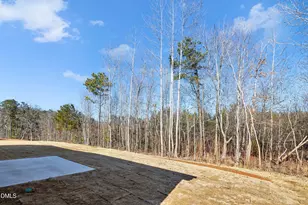 233 Beta Ct, Sanford, NC 27330 - Photo 33