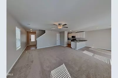 294 Coleshill Road, Angier, NC 27501 - Photo 3