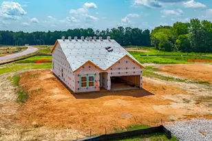 35 Bunker Hl Pl, Angier, NC 27501 - Photo 5
