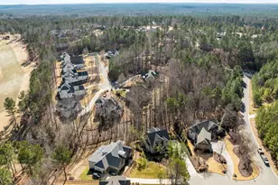 4 Brandon Pines Ct, Pittsboro, NC 27312 - Photo 49