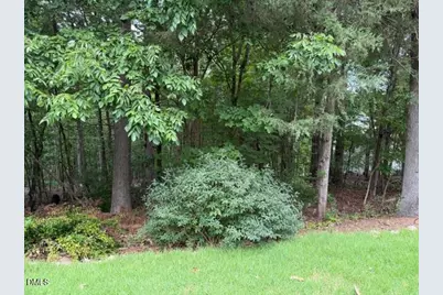 102 Jolyn Place, Chapel Hill, NC 27517 - Photo 3