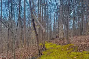 361 Rock Creek Dr, Milton, NC 27305 - Photo 39