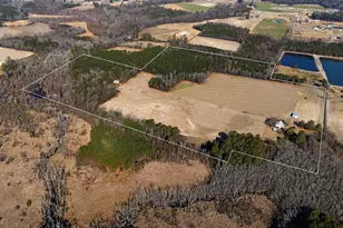 5964 (E) Godwin Lake Rd, Dunn, NC 28334 - Photo 59