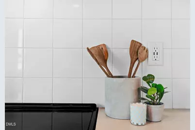 521 N Mangum Street #33, Durham, NC 27701 - Photo 7