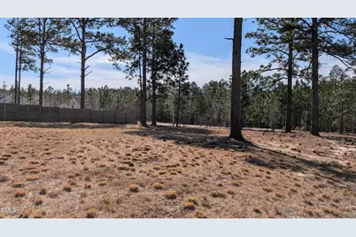 4032 Silver Lane, West End, NC 27376 - Photo 3