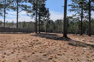 4032 Silver Ln, West End, NC 27376 - Photo 3