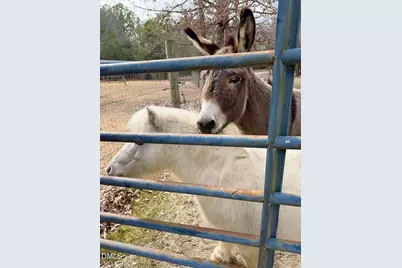 2465 Shoeheel Road, Selma, NC 27576 - Photo 29