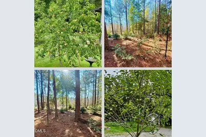 2465 Shoeheel Road, Selma, NC 27576 - Photo 33