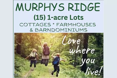 Lot 11 Poppy Mallow Lane, Stem, NC 27581 - Photo 9