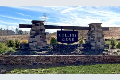 725 James J Freeland Memorial Drive, Hillsborough, NC 27278 - Photo 29