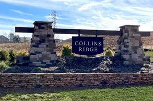 725 James J Freeland Memorial Dr, Hillsborough, NC 27278 - Photo 29