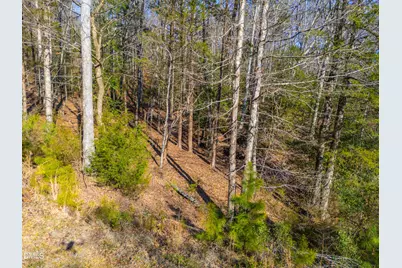 487 Pickett Lane, Pittsboro, NC 27312 - Photo 5