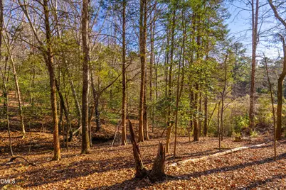 487 Pickett Lane, Pittsboro, NC 27312 - Photo 15