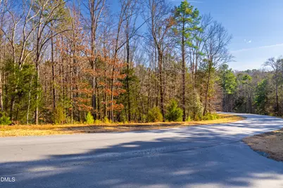 487 Pickett Lane, Pittsboro, NC 27312 - Photo 19