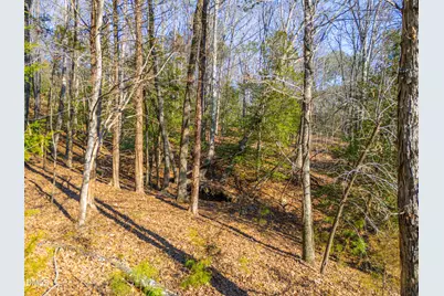 487 Pickett Lane, Pittsboro, NC 27312 - Photo 7