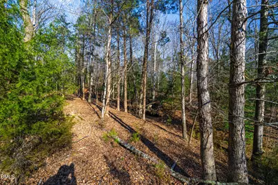 487 Pickett Lane, Pittsboro, NC 27312 - Photo 11