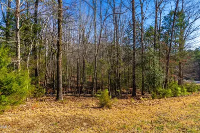 487 Pickett Lane, Pittsboro, NC 27312 - Photo 17