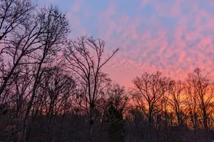 2219 Spacious Skies St, Raleigh, NC 27614 - Photo 55