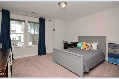 463 Badger Pass Drive, Clayton, NC 27527 - Photo 39