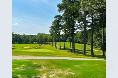 133 Black Cloud Drive, Louisburg, NC 27549 - Photo 49