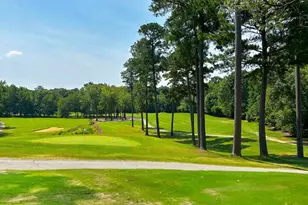 133 Black Cloud Dr, Louisburg, NC 27549 - Photo 49