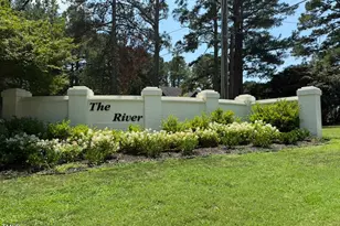 133 Black Cloud Dr, Louisburg, NC 27549 - Photo 47