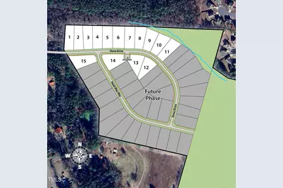 237 Dona Drive, Carthage, NC 28327 - Photo 39