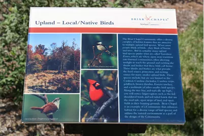 366 Old Piedmont Circle, Chapel Hill, NC 27516 - Photo 79